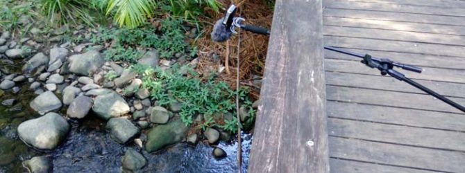 New free sound effects: waterfalls and creeks