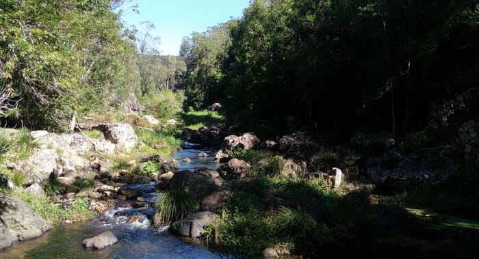 Creek at Kondalilla