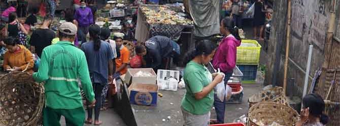 Indonesian market
