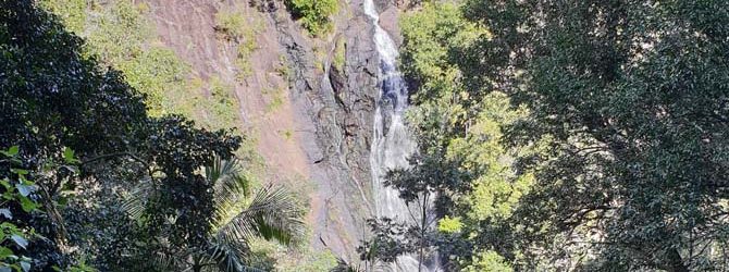 Kondalilla Falls
