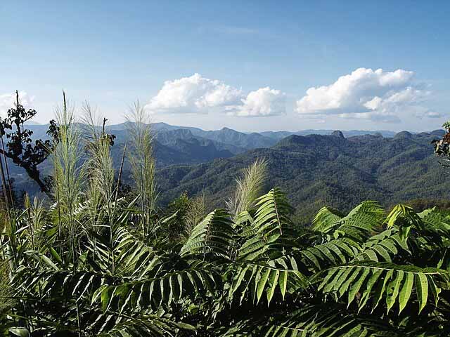 10 new Thailand jungle ambiences just added
