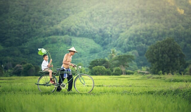 Loads of new free sound effects including Asia nature ambiences