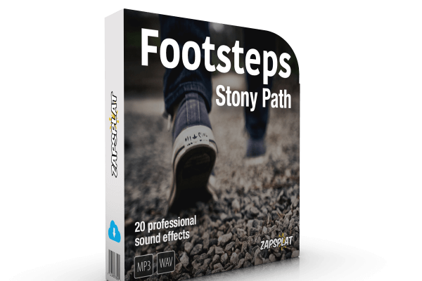 Footsteps Stony Path