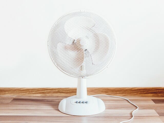 Fan