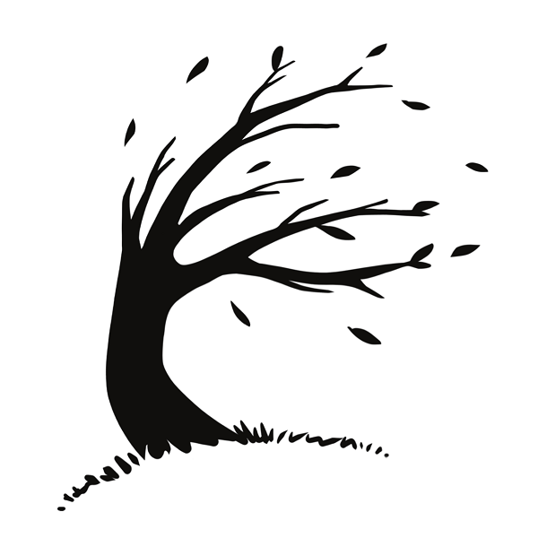 Audio contributor The Sound Pack Tree