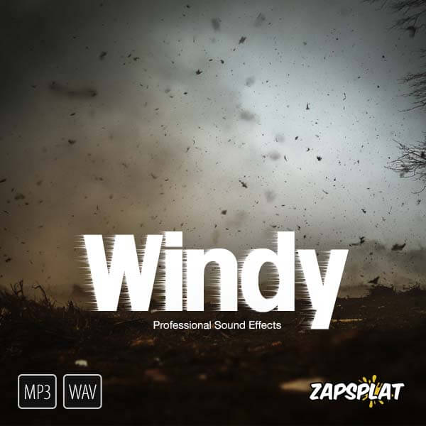 Windy