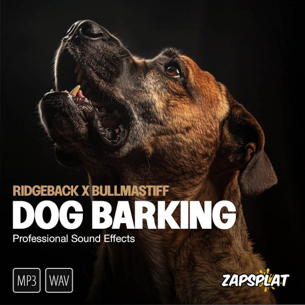 Ridgeback cross dog barking sound effects