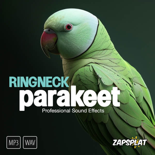 Ringneck Parakeet Sound Pack
