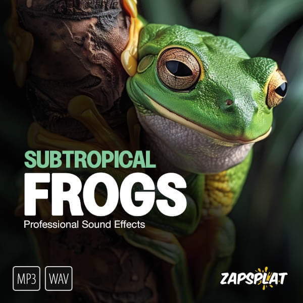 Subtropical frogs sound effects