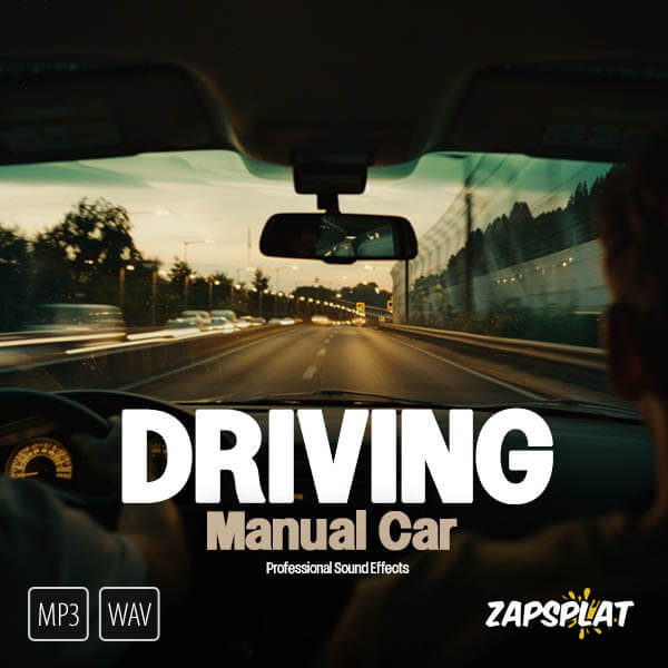Driving Manual Car