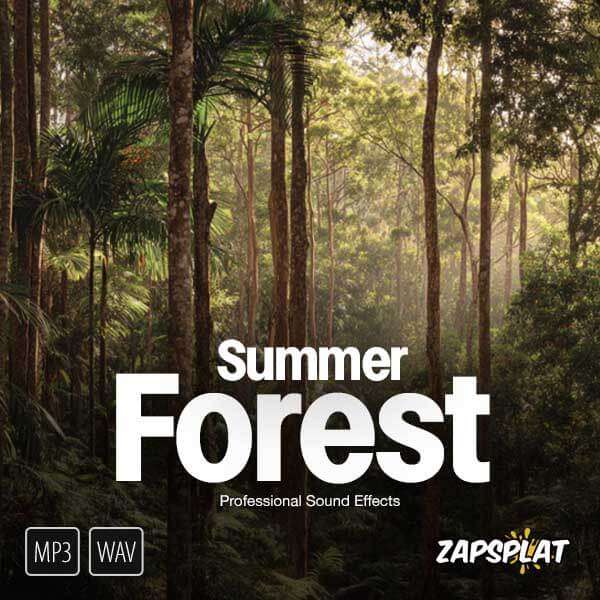 Summer Forest Sound Pack